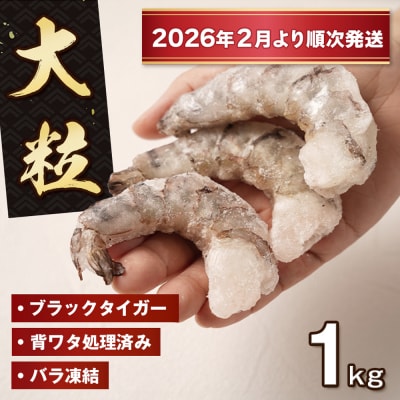 至福の大粒むきえび　背ワタ処理済 1kg【2026年2月より順次発送】　ao10015
