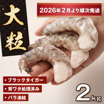 至福の大粒むきえび 背ワタ処理済2kg(1kg×2袋)【2026年1月より順次発送】　ao10017