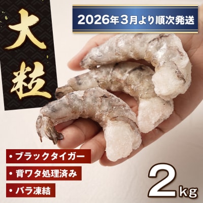 至福の大粒むきえび 背ワタ処理済2kg(1kg×2袋)【2026年1月より順次発送】　ao10018