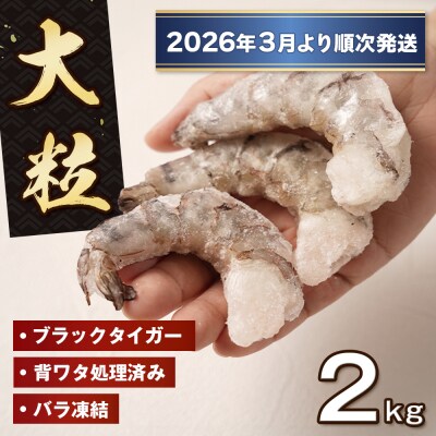 至福の大粒むきえび 背ワタ処理済2kg(1kg×2袋)【2026年3月より順次発送】　ao10018