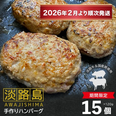 【数量限定】淡路島手作りハンバーグ 15個【2026年2月より順次発送】　an07050