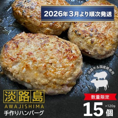 【数量限定】淡路島手作りハンバーグ 15個【2026年3月より順次発送】　an07051 | ふるさと納税のお礼品