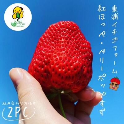 淡路島産いちごセット(紅ほっぺ / ベリーポップすず)【お届け日指定不可】　ah16004