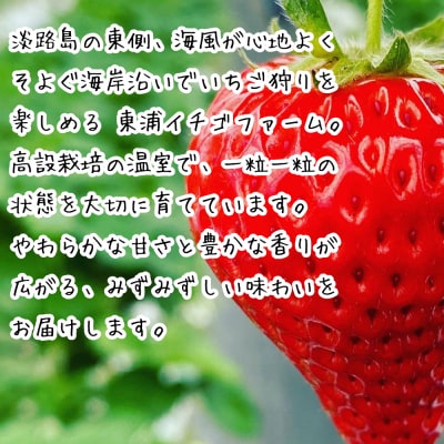淡路島産いちごセット(紅ほっぺ / ベリーポップすず)【お届け日指定不可】　ah16003