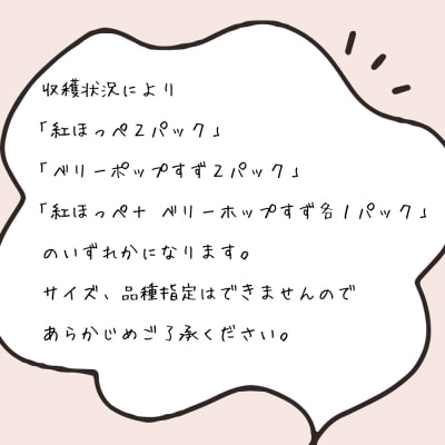 淡路島産いちごセット(紅ほっぺ / ベリーポップすず)【お届け日指定不可】　ah16003