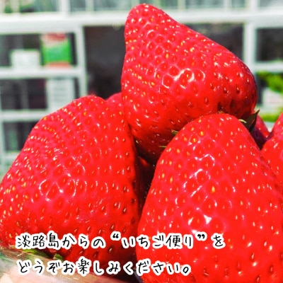 淡路島産いちごセット(紅ほっぺ / ベリーポップすず)【お届け日指定不可】　ah16003