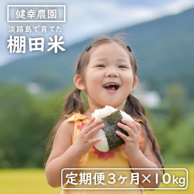 【定期便】健幸農園の棚田米 10kg×3ヵ月セット　ak29011