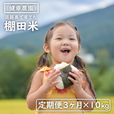 【定期便】健幸農園の棚田米 10kg×3ヵ月セット　ak29021