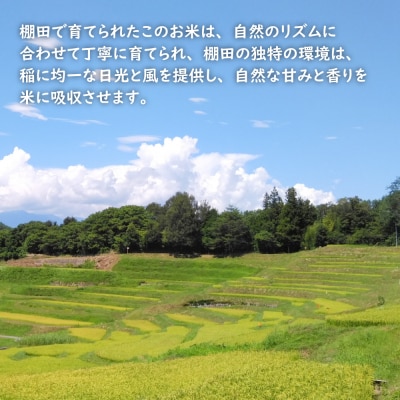 【定期便】健幸農園の棚田米 10kg×3ヵ月セット　ak29011