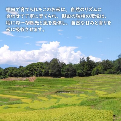 【定期便】健幸農園の棚田米 10kg×3ヵ月セット　ak29021