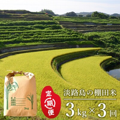 【定期便】淡路島の棚田米 3kg×3回　精米 白米　ae01082