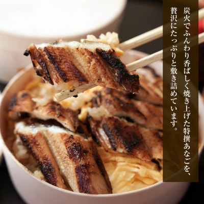 特撰あなご丼 わっぱ入り 2食セット 冷凍　aa54003
