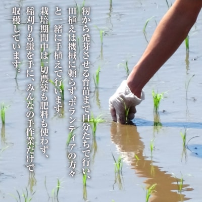 來子道米 ～きしどうまい～ 450g×3個 【栽培期間中、無農薬無肥料】　ar08004