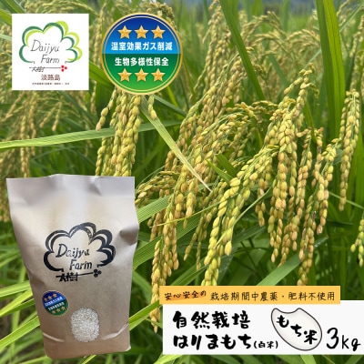 自然栽培もち米　はりまもち(白米)　3kg　aw03017
