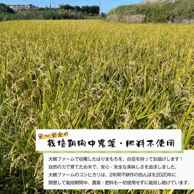 自然栽培もち米　はりまもち(白米)　3kg　aw03017