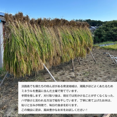 自然栽培もち米　はりまもち(白米)　3kg　aw03017