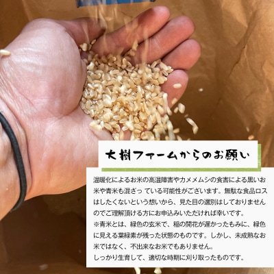 自然栽培もち米　はりまもち(白米)　3kg　aw03017