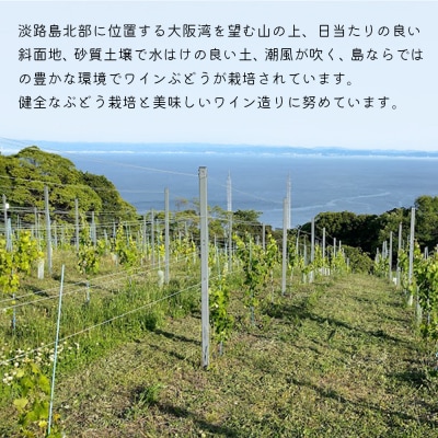 島薫るBlanc 2025 -デラウエアペティアン-　750ml 微発泡白ワイン　ad02002