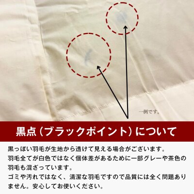 ロイヤルゴールド 羽毛布団 ポーランドマザーグース93% シングル無地 1.0kg 　ao12056