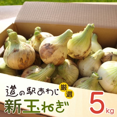 道の駅あわじ厳選新玉ねぎ5kg【発送時期2027年5月頃】　aa01016