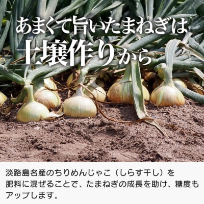 道の駅あわじ厳選新玉ねぎ5kg【発送時期2027年5月頃】　aa01016