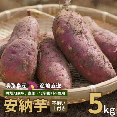 安納芋(淡路島産)土付き　約5kg　不揃い【栽培期間中、農薬・化学肥料不使用】　ar13001