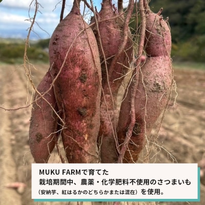 【淡路島産】冷凍焼き芋　2kg　不揃い【栽培期間中、農薬・化学肥料不使用】　ar13002