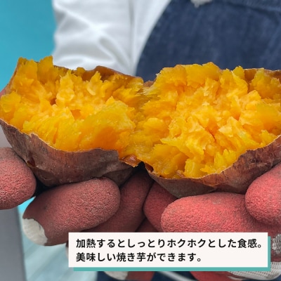 紅はるか(淡路島産)土付き　約5kg　不揃い【栽培期間中、農薬・化学肥料不使用】　ar13003