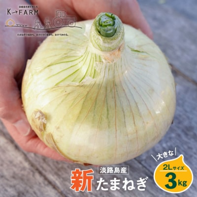 【新たまねぎ】淡路島たまねぎ 大きな2Lサイズ 3kg　ak04055