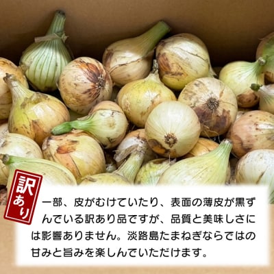 【訳あり】【新たまねぎ】小さな淡路島たまねぎ 2S～Sサイズ 5kg　ak04040