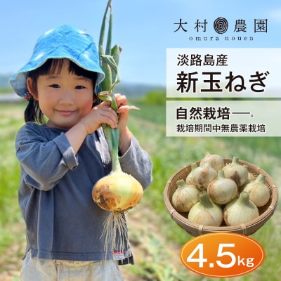 新玉ねぎ 自然栽培 4.5kg (栽培期間中無農薬栽培)　ao06002