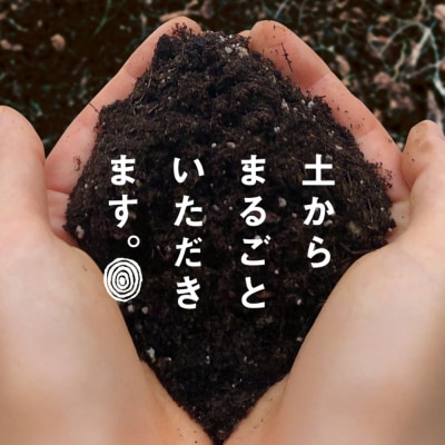 新玉ねぎ 自然栽培 4.5kg (栽培期間中無農薬栽培)　ao06002