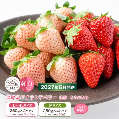 淡路島アイランドベリー 紅白いちご 2～4P入【5月発送予約受付・お届け日指定不可】　as14039