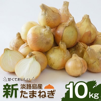 淡路島産たまねぎ10kg as13007