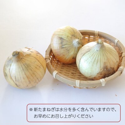 【新たまねぎ】淡路島産たまねぎ10kg　as13007