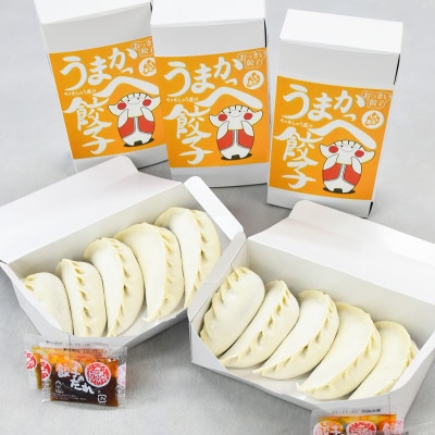 ジャンボ餃子 手作り 25個 1粒70g ギフト