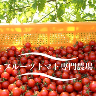 【毎月定期便】ドロップファームの美容トマト(R) 1kg全2回