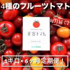 【毎月定期便】ドロップファームの美容トマト(R) 1kg全6回