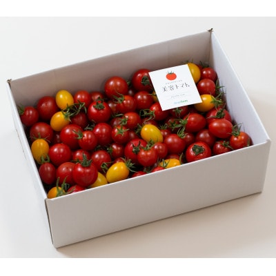 【毎月定期便】ドロップファームの美容トマト(R) 2kg全3回