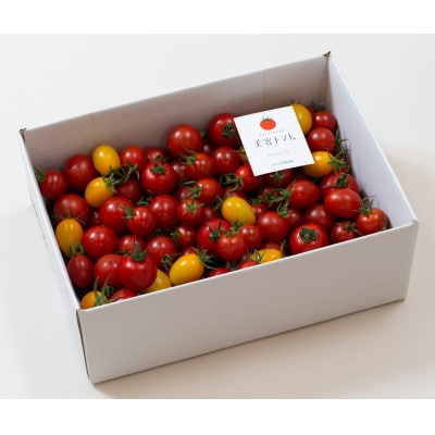 【毎月定期便】ドロップファームの美容トマト(R) 2kg全6回