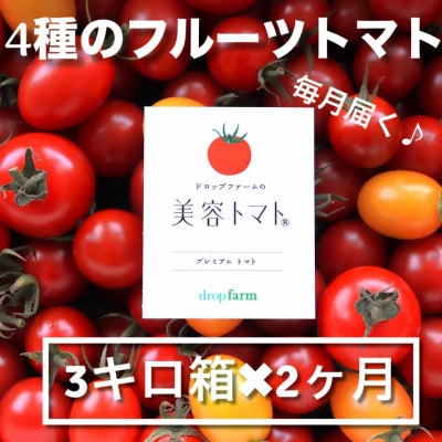 【毎月定期便】ドロップファームの美容トマト(R) 3kg全2回