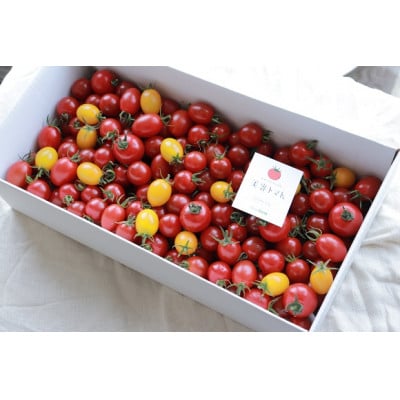 【毎月定期便】ドロップファームの美容トマト(R) 3kg全3回