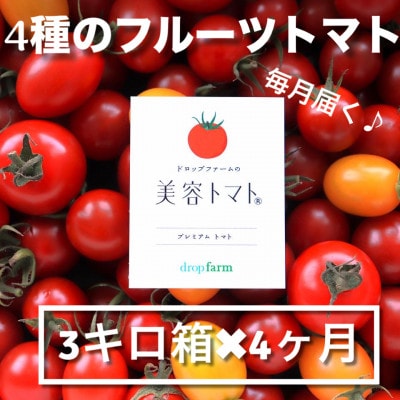 【毎月定期便】ドロップファームの美容トマト(R) 3kg全4回