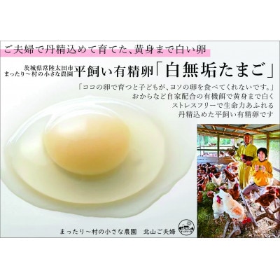 100%無添加のやさしいぷりん おしゃらぐプリン 「和三盆と白無垢たまご」 6個入り