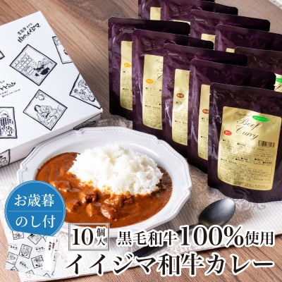 【お歳暮のし付き】イイジマ国産黒毛和牛レトルトカレー 10個入り 辛口 甘口 中辛【肉のイイジマ】