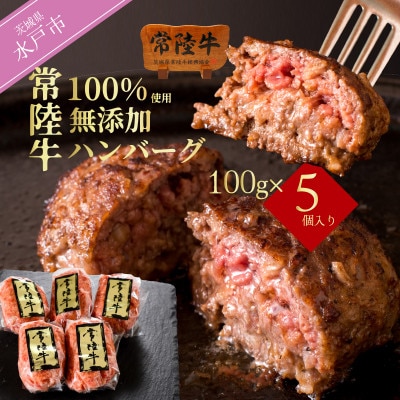 常陸牛100%ハンバーグ100g×5個 無添加【創業60年の老舗肉店手造りのおすすめお礼品】