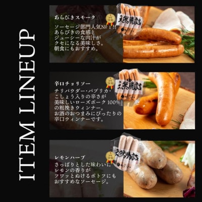 【お歳暮のし付き】IFFA金賞 イイジマ工房セット(約600g)【肉のイイジマ】