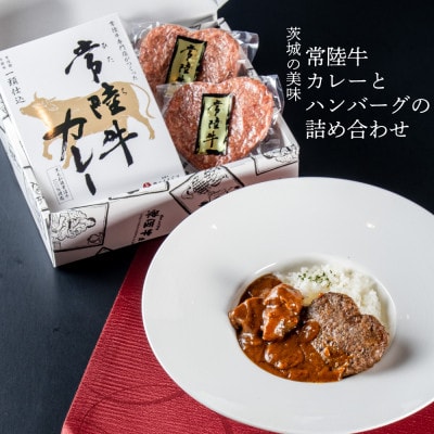 常陸牛ハートハンバーグ100g×2個 常陸牛カレー2個 レトルトカレー【肉のイイジマおすすめお礼品】