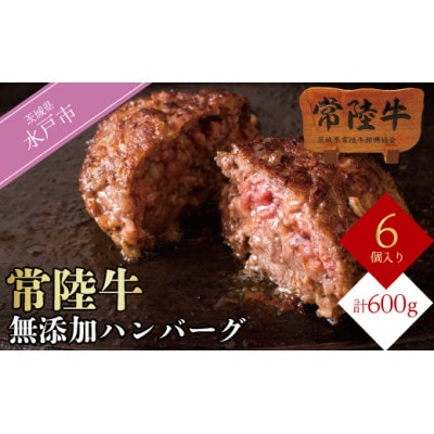 常陸牛100% ハンバーグ 100g×6個