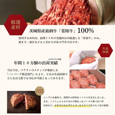 常陸牛100% ハンバーグ 100g×6個